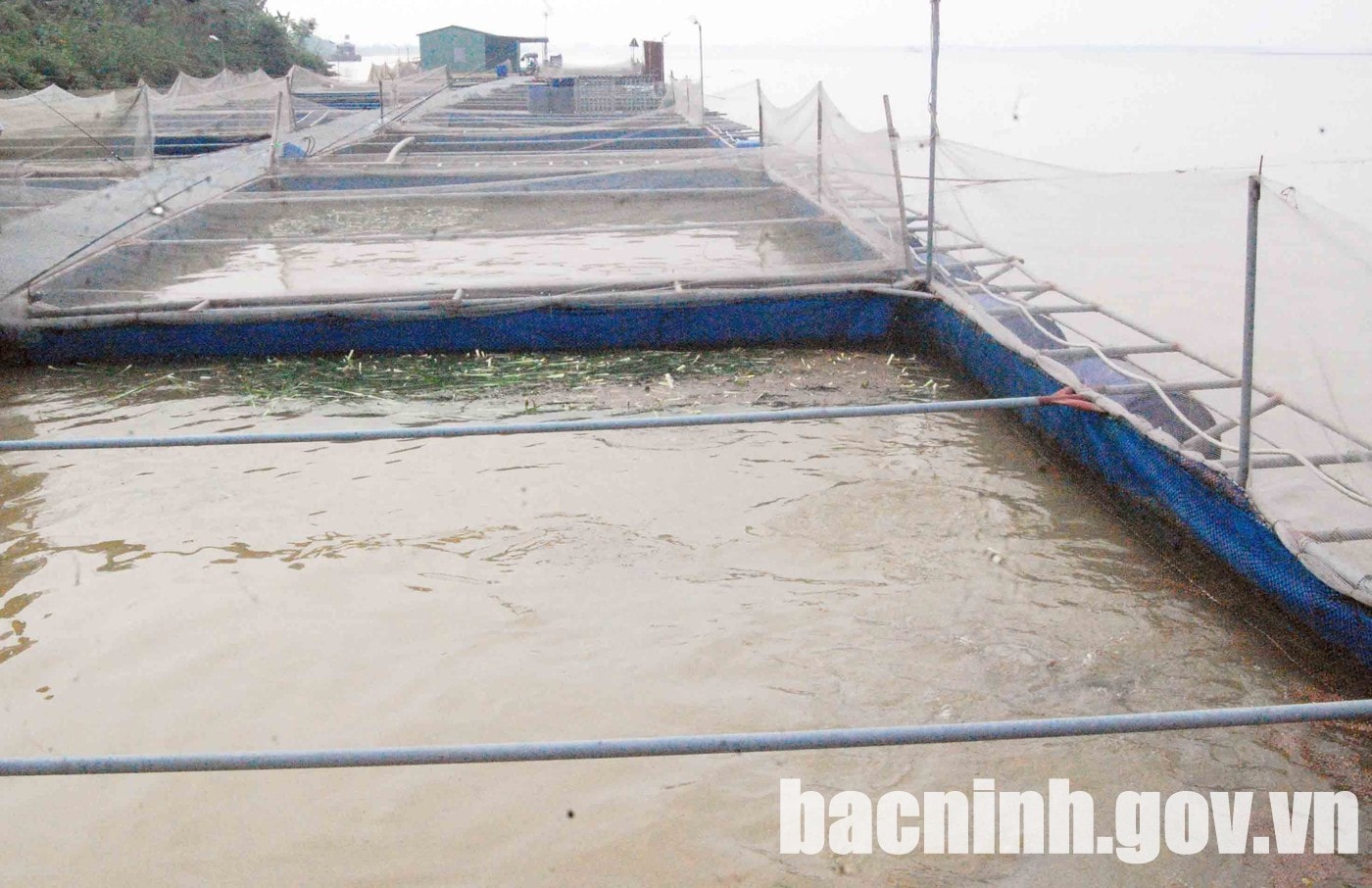 tong san luong thuy san toan tinh bac ninh uoc dat 9957 tan tang 13 so voi cung ky hinh 1