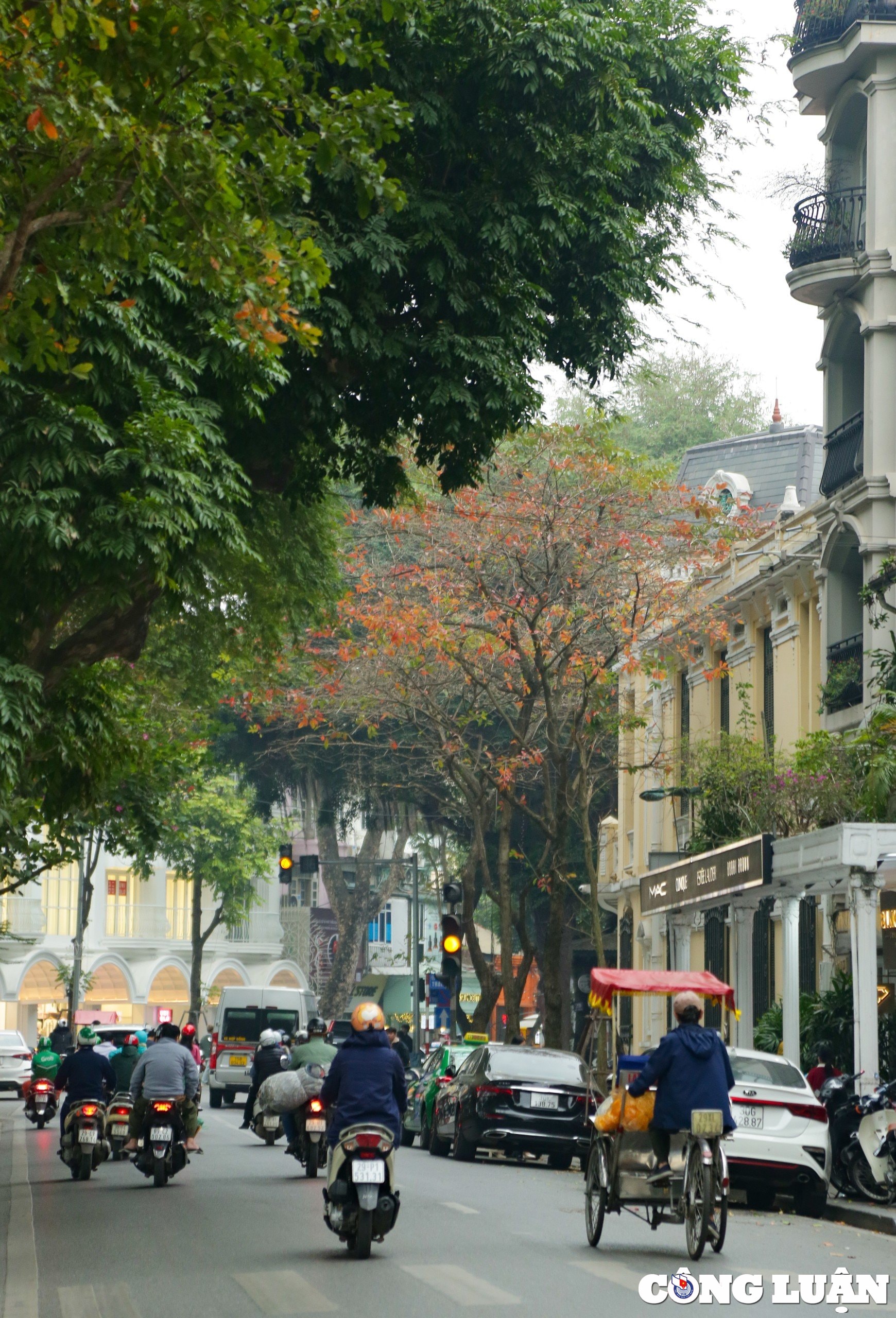 thu do ha noi dep ngo ngang trong mua la rung hinh 2