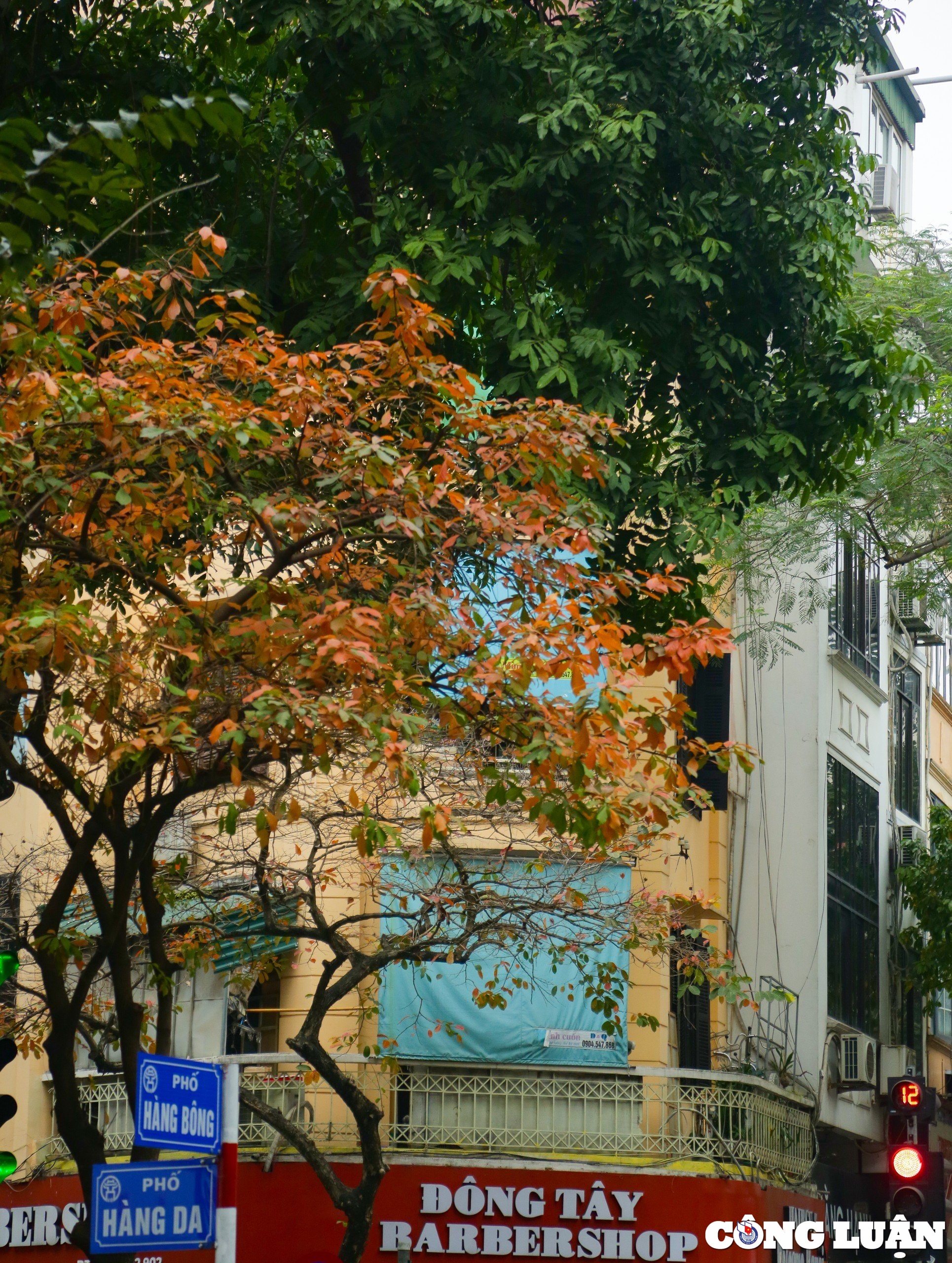 thu do ha noi dep ngo ngang trong mua la rung hinh 3