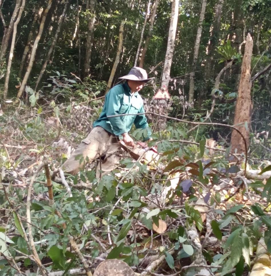 khoi to vu an thue nguoi don rung tu nhien o kon tum hinh 1