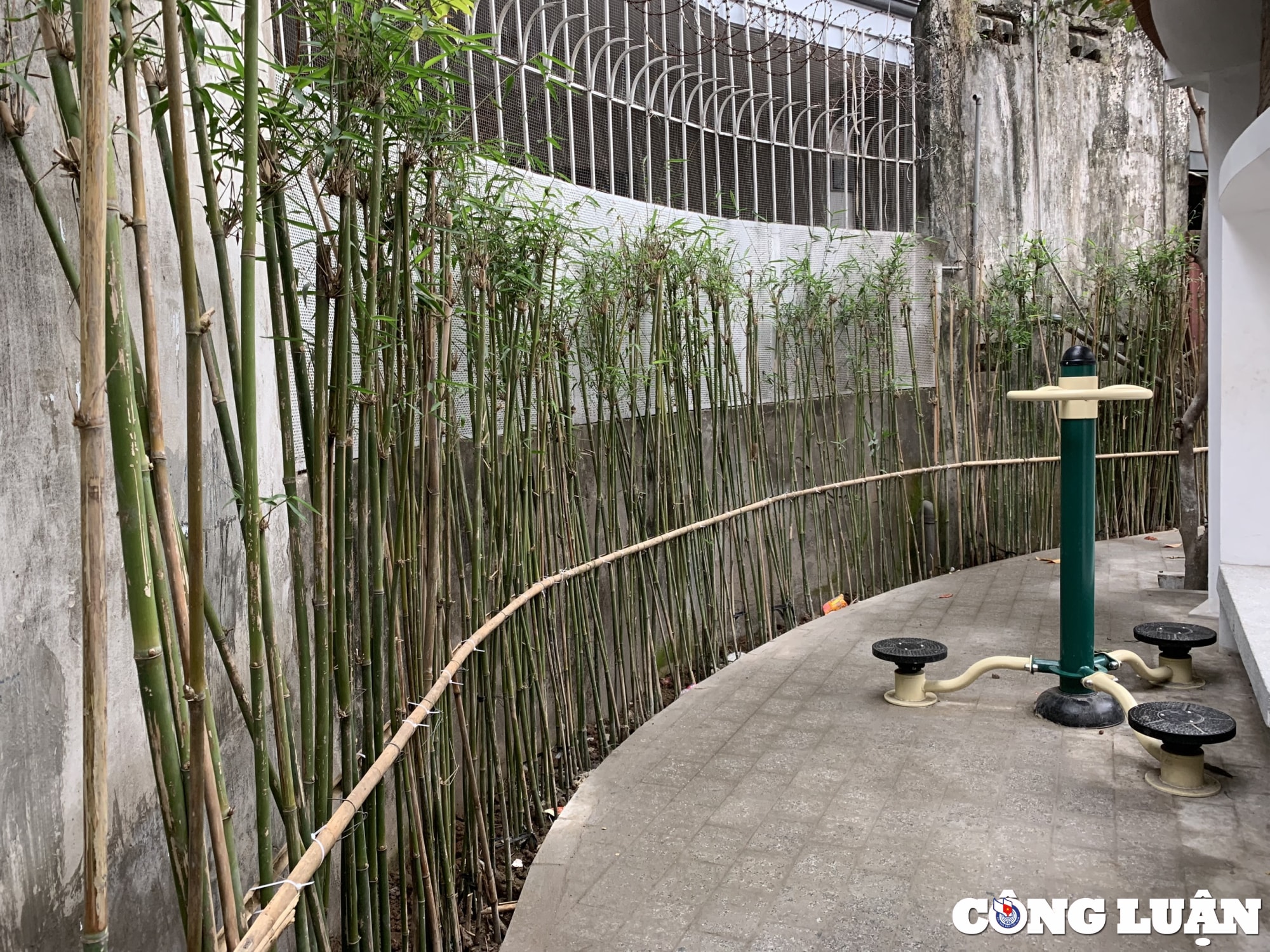 an tuong voi khu vui choi cai tao tu gieng lang giua thu do ha noi hinh 6