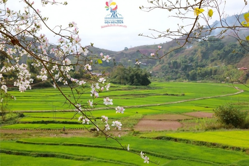 dien bien dieu chinh thoi gian to chuc cuoc thi anh lung linh mien hoa ban hinh 1