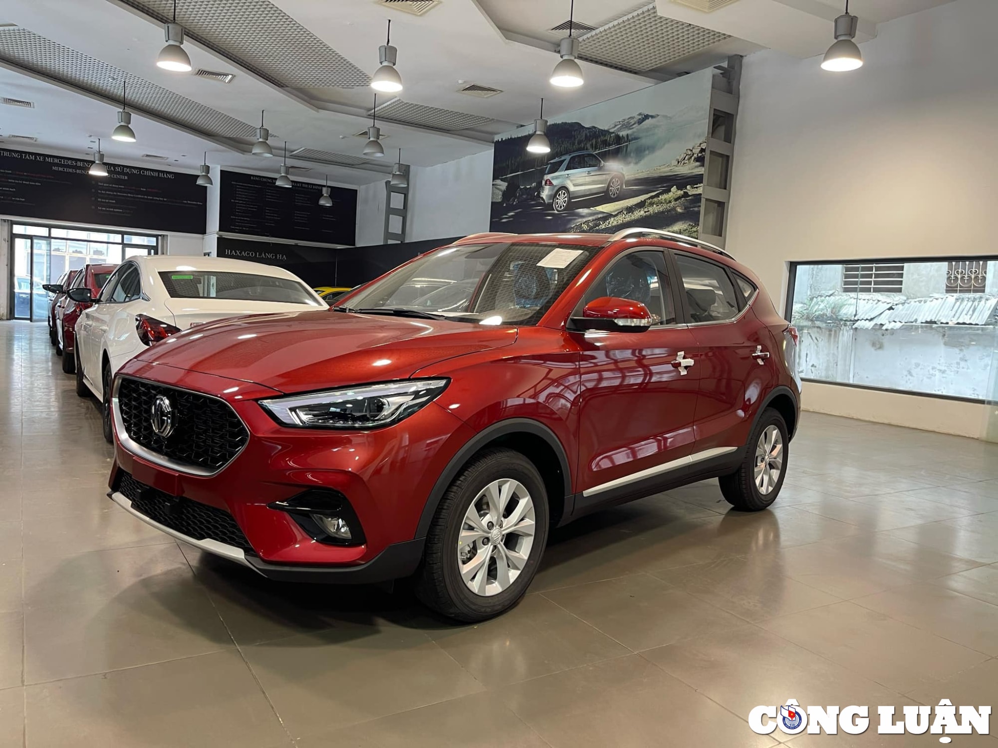 gia mg zs niem yet va lan banh thang 3 2024 tu 538 trieu dong hinh 6