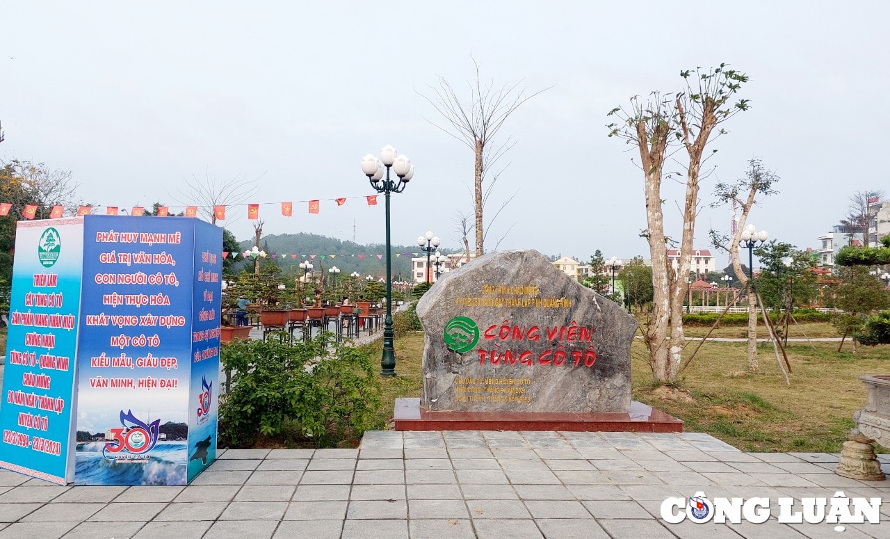 quang ninh ruc ro huyen dao co to trong le ky niem 30 nam ngay thanh lap huyen hinh 5