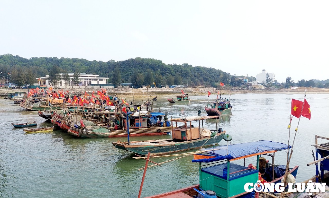 quang ninh ruc ro huyen dao co to trong le ky niem 30 nam ngay thanh lap huyen hinh 6
