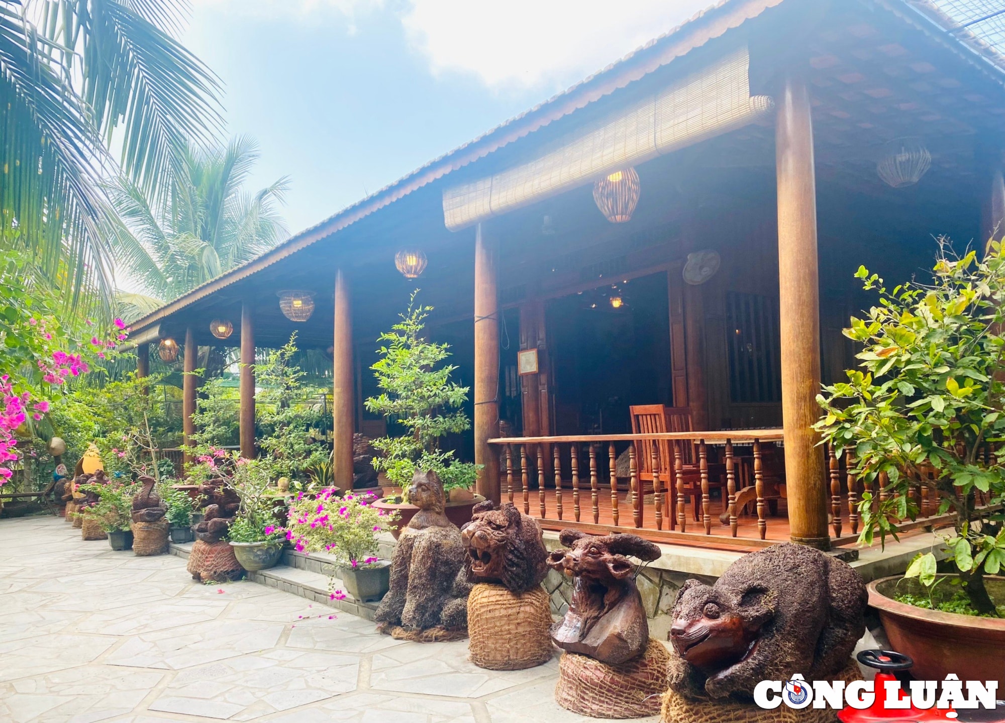 doc dao ngoi nha bang dua co mot khong hai o mien tay hinh 1