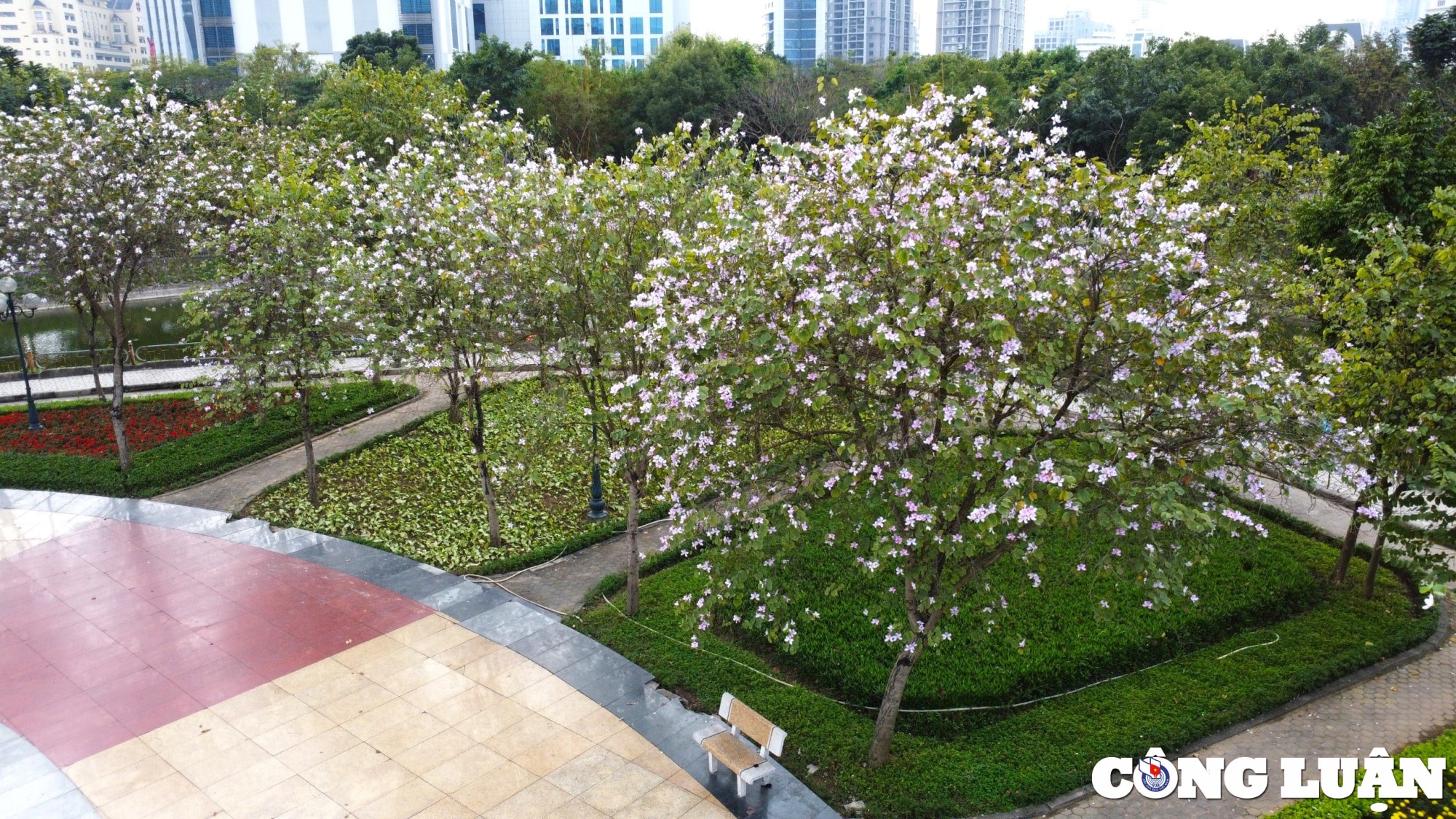 den nam 2025 ha noi co ban hoan thanh cai tao dau tu nang cap cac cong vien vuon hoa hinh 2