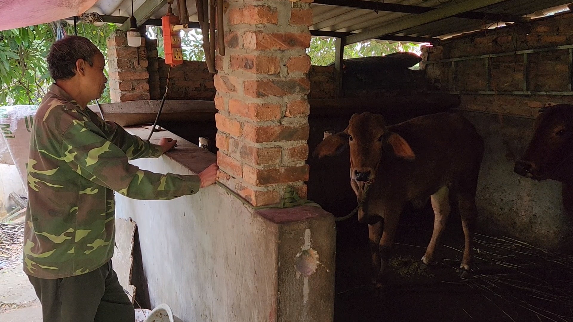 viet yen bac giang do khoc do cuoi chuyen ho tro con giong du an giam ngheo tai xa tien son hinh 2
