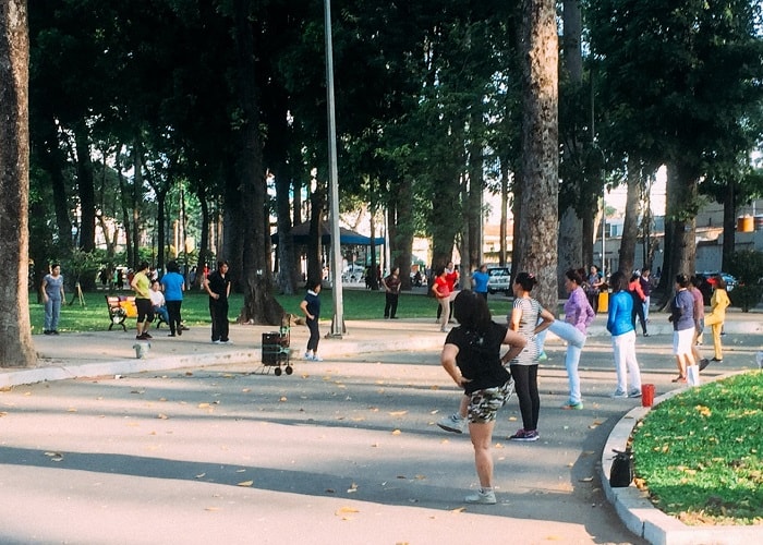tp hcm lap de an de phat trien cong vien va cay xanh cong cong hinh 1