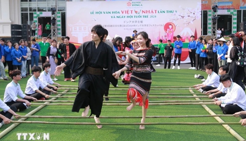 an tuong le hoi van hoa viet nam  nhat ban 2024 hinh 1
