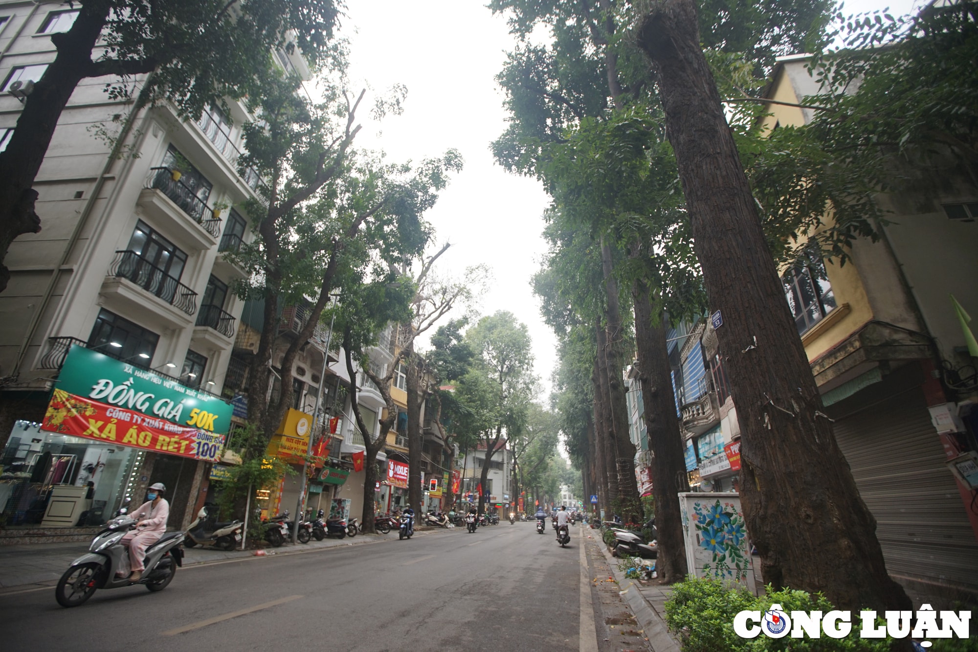 chiem nguong hang sao den tram tuoi o pho lo duc ha noi hinh 8