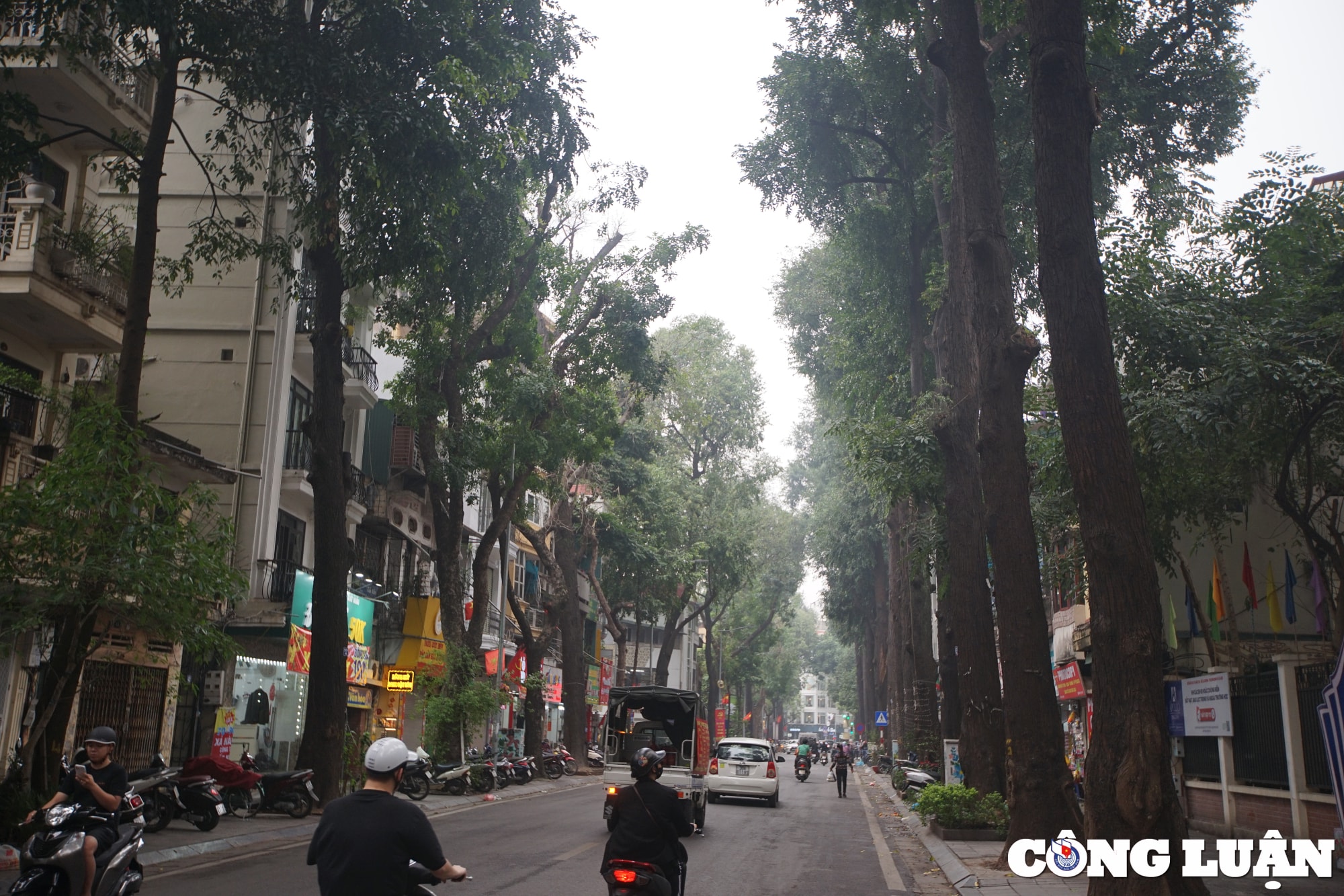 chiem nguong hang sao den tram tuoi o pho lo duc ha noi hinh 9