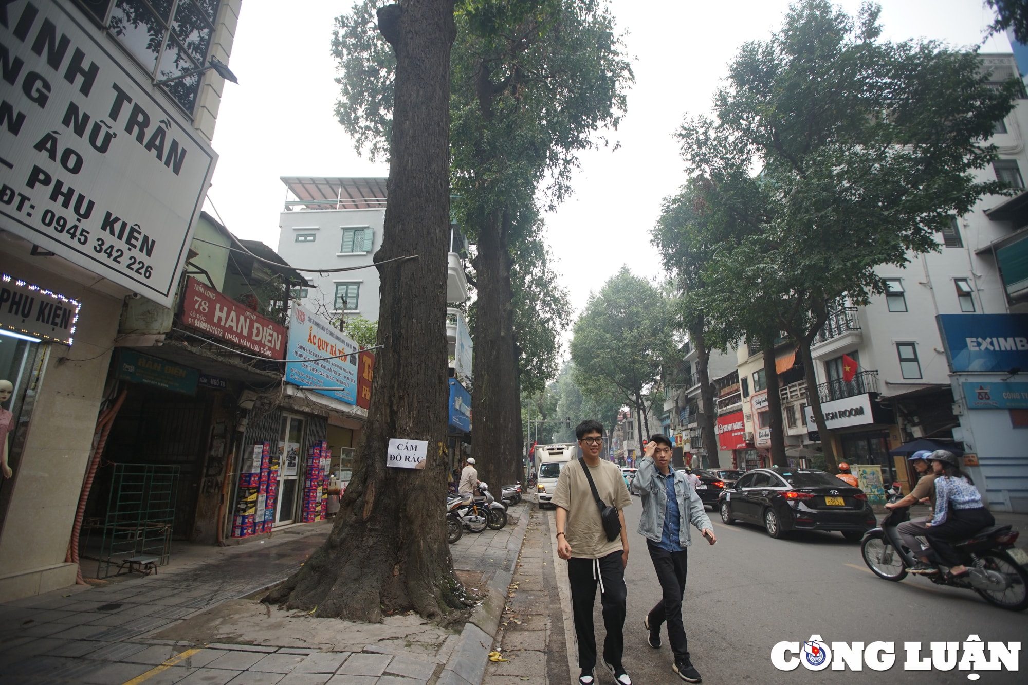 chiem nguong hang sao den tram tuoi o pho lo duc ha noi hinh 3