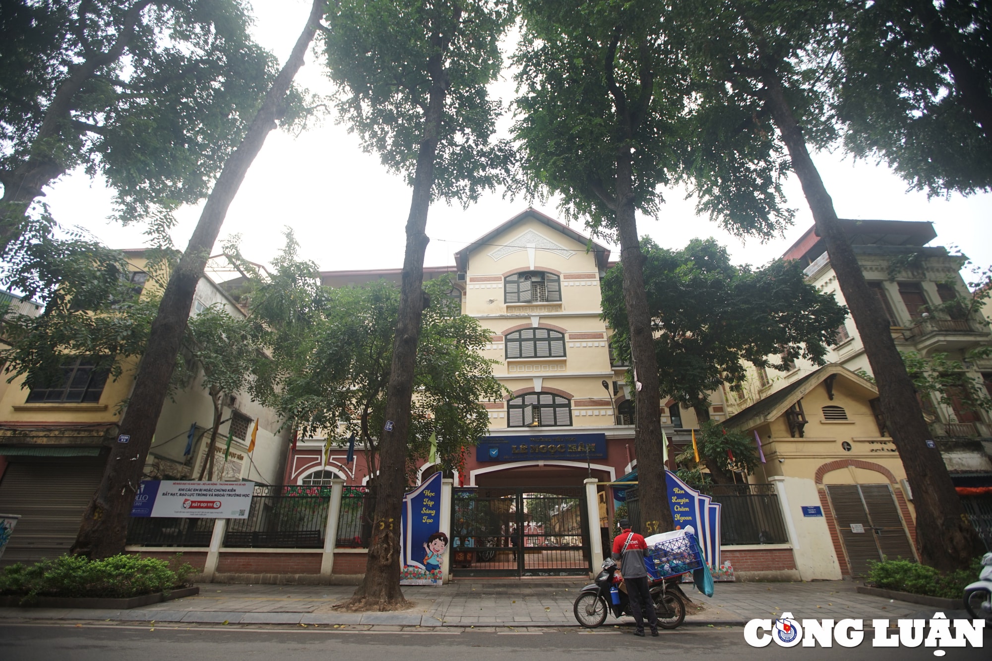 chiem nguong hang sao den tram tuoi o pho lo duc ha noi hinh 2