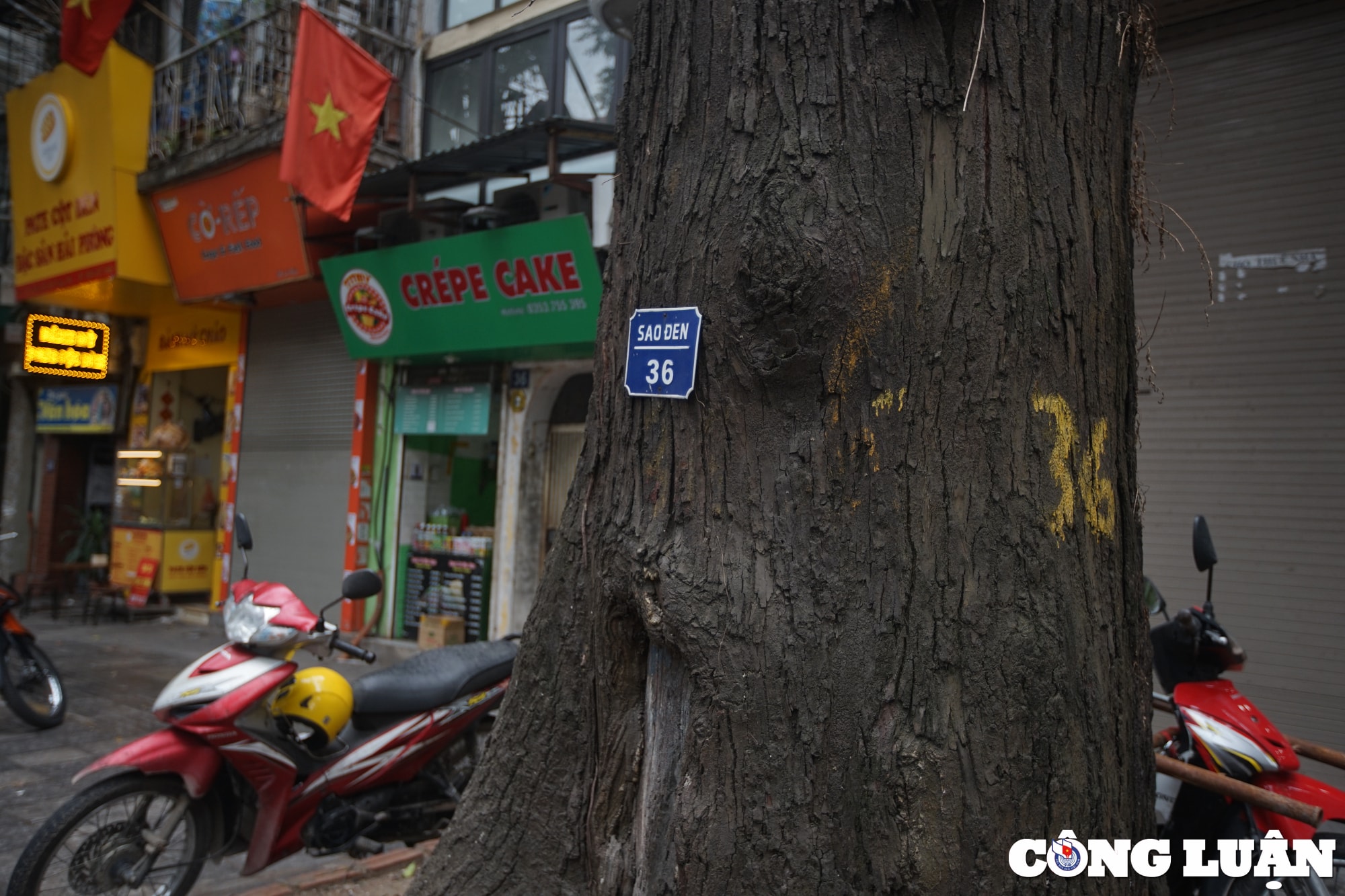 chiem nguong hang sao den tram tuoi o pho lo duc ha noi hinh 6