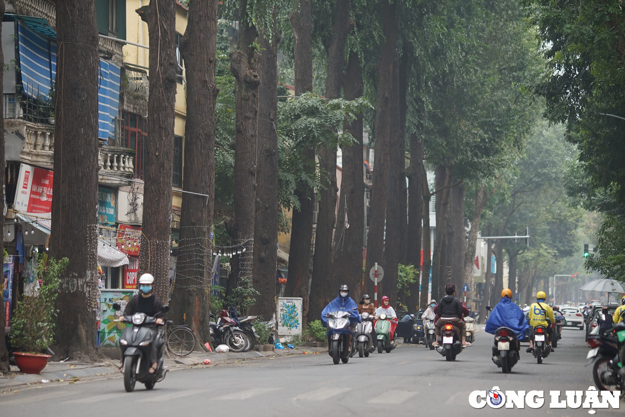 chiem nguong hang sao den tram tuoi o pho lo duc ha noi hinh 1