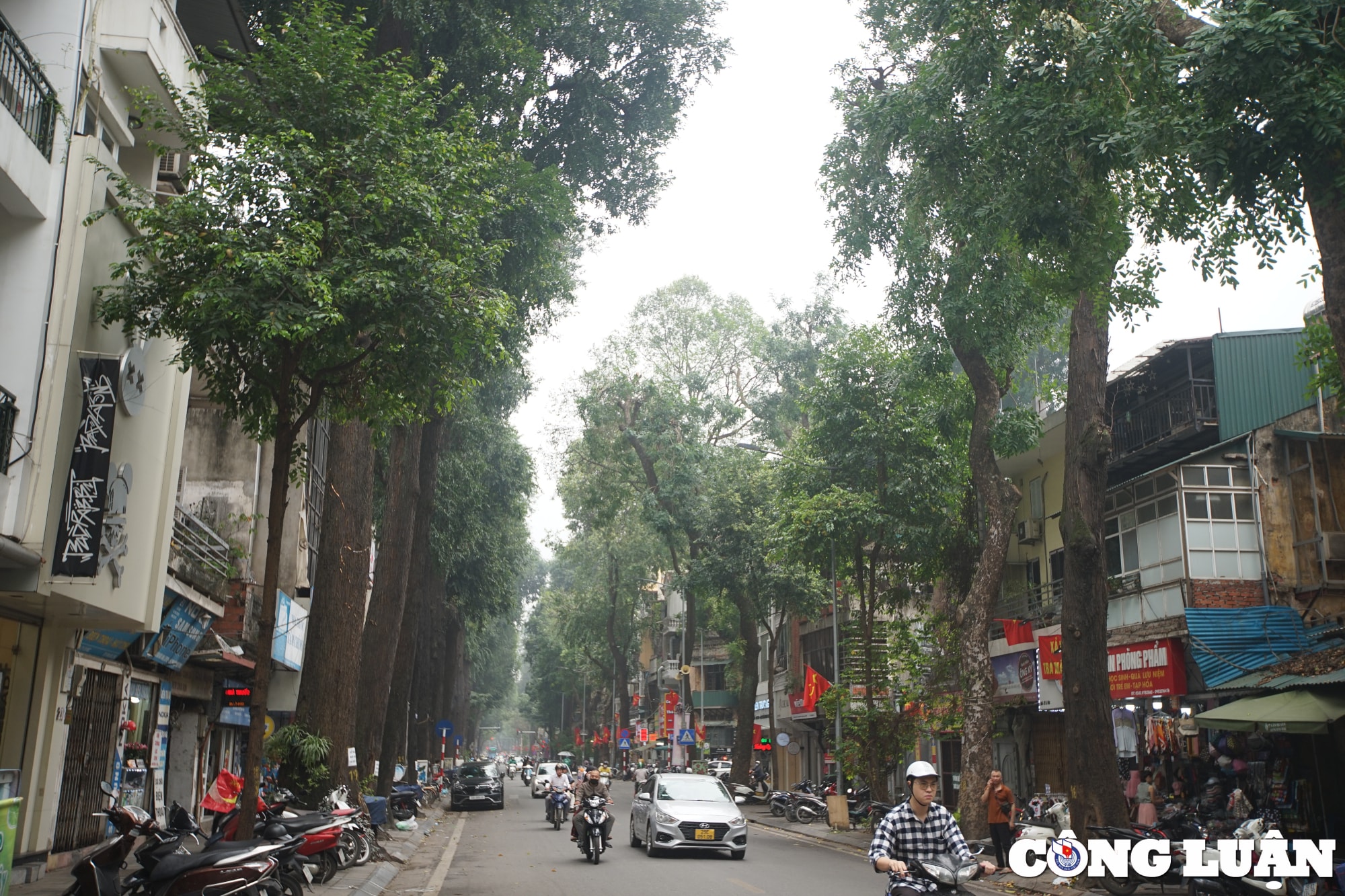 chiem nguong hang sao den tram tuoi o pho lo duc ha noi hinh 13