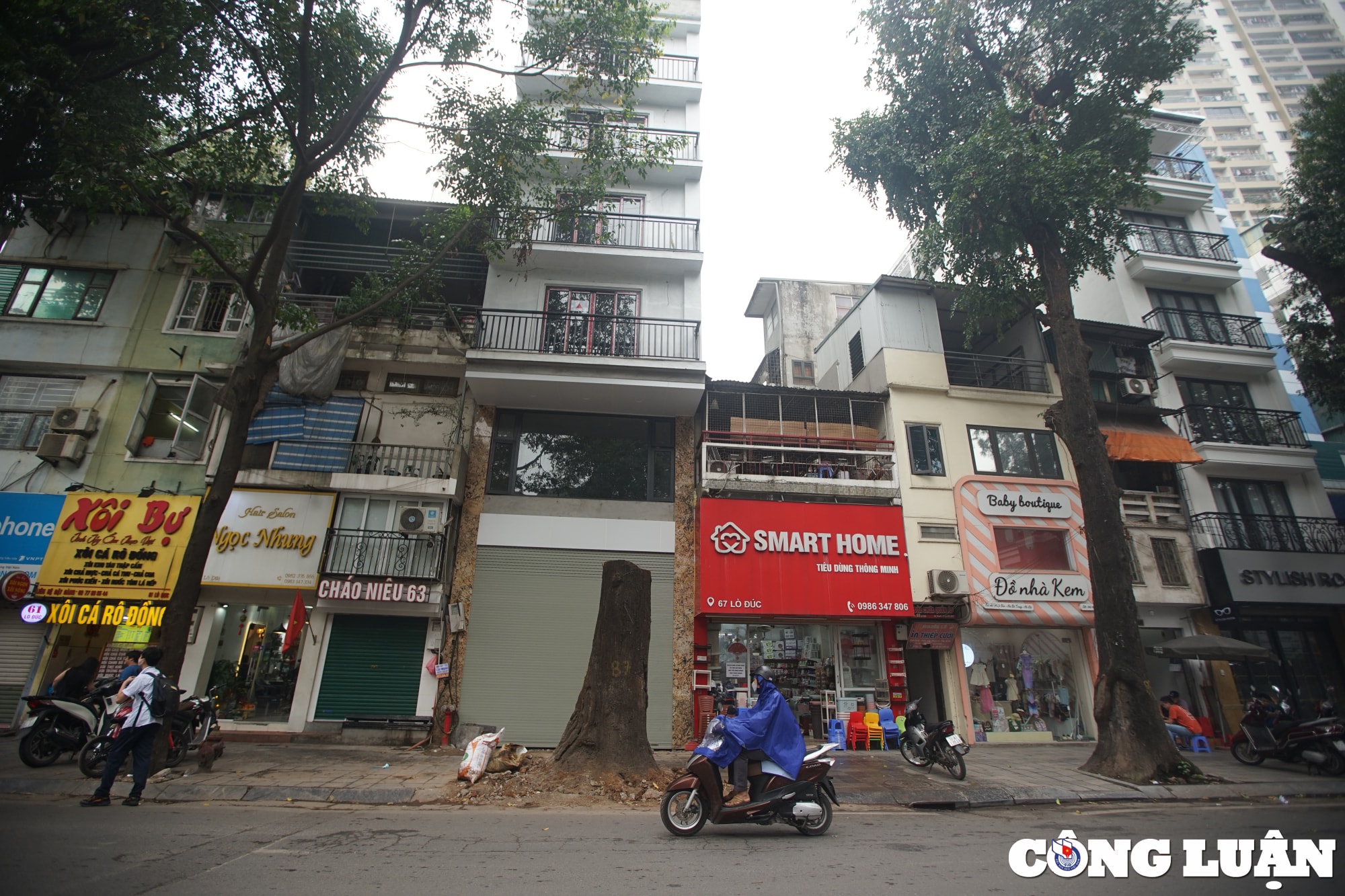 chiem nguong hang sao den tram tuoi o pho lo duc ha noi hinh 7