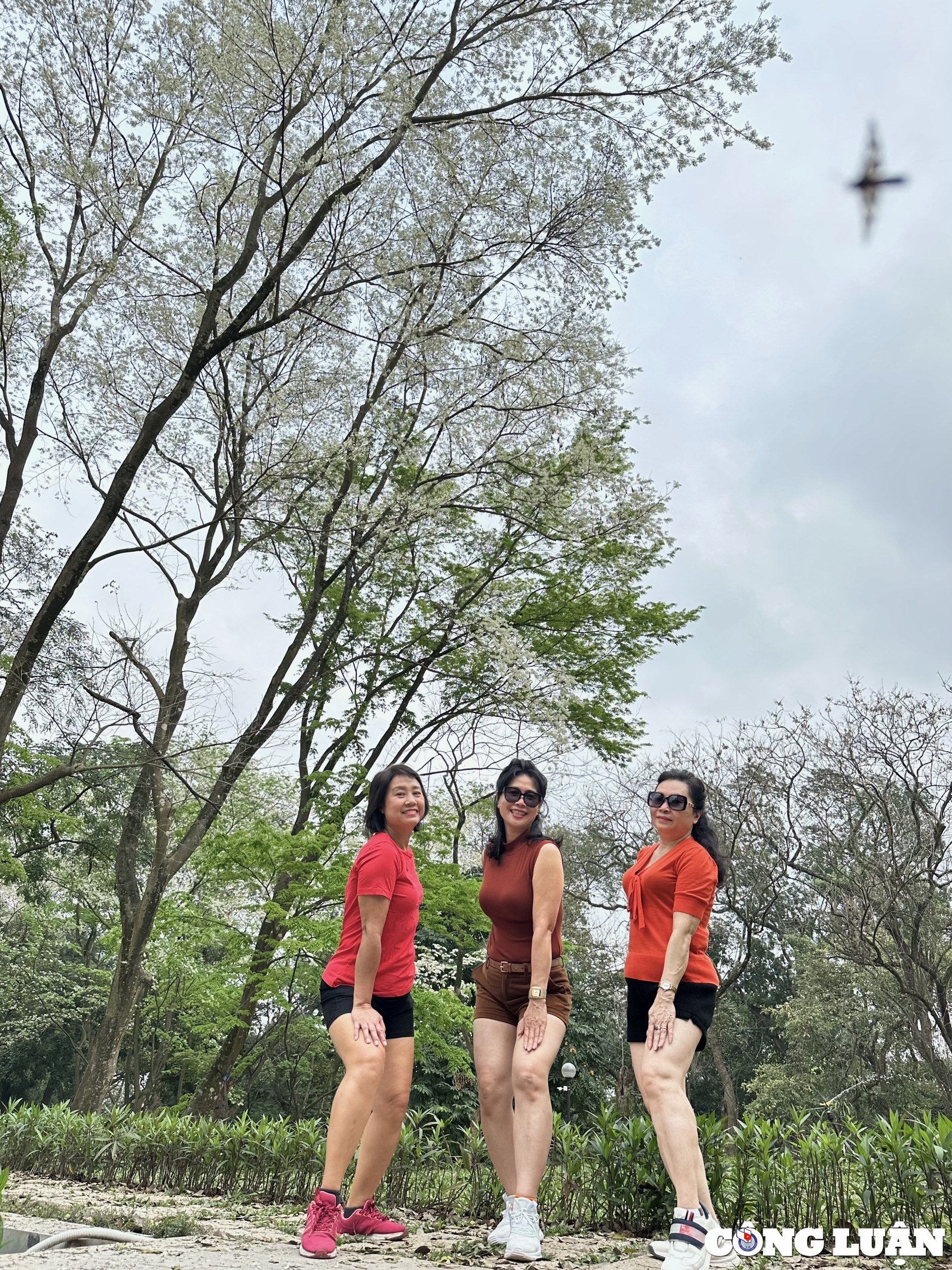 ha noi dep long lay nho sac trang tinh khoi cua hoa sua hinh 6