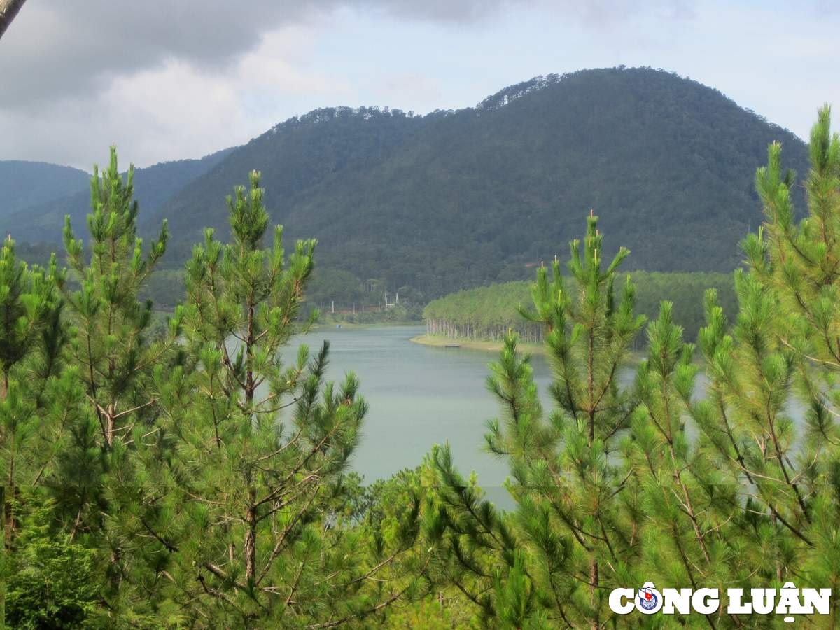 thung lung vang tien canh huyen bi noi xu so ngan hoa hinh 2