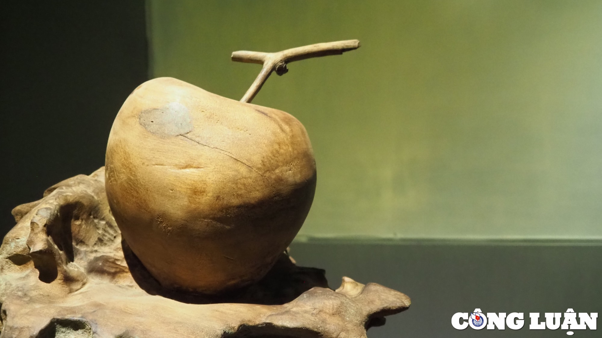 chan dung cac vi nhan qua nghe thuat anh sang dac sac cua bui van tu hinh 6