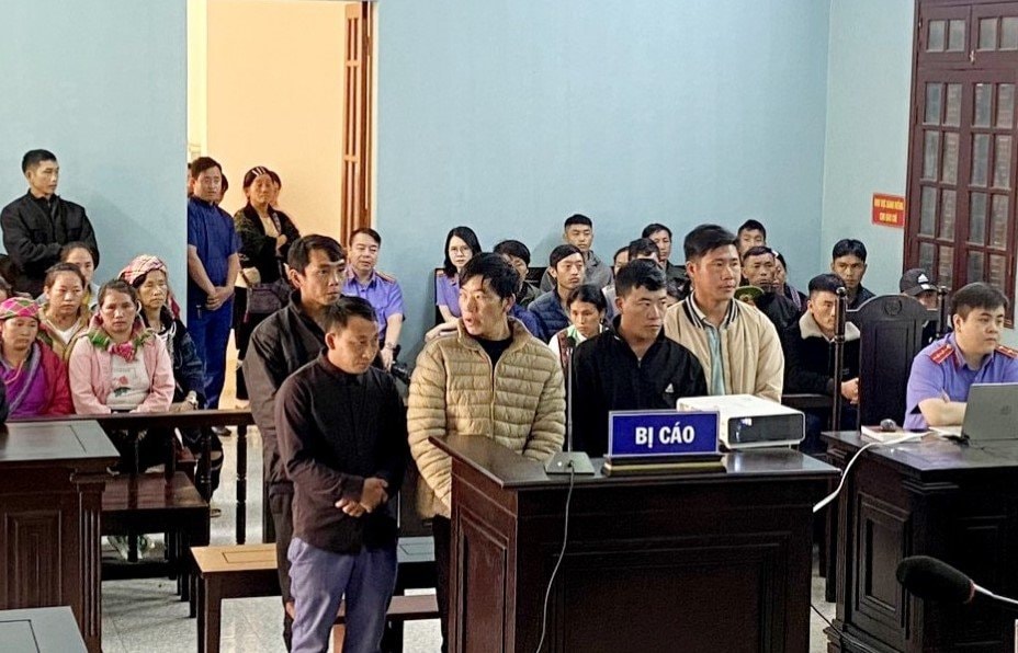 lao cai khai thac go trai phep trong vuon quoc gia 5 doi tuong bi phat tu hinh 1