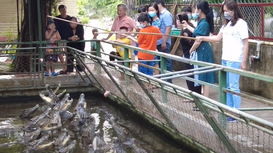 ve long xuyen kham pha vuong quoc ca sau cua mien tay hinh 3