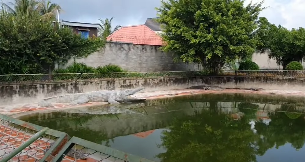 ve long xuyen kham pha vuong quoc ca sau cua mien tay hinh 1