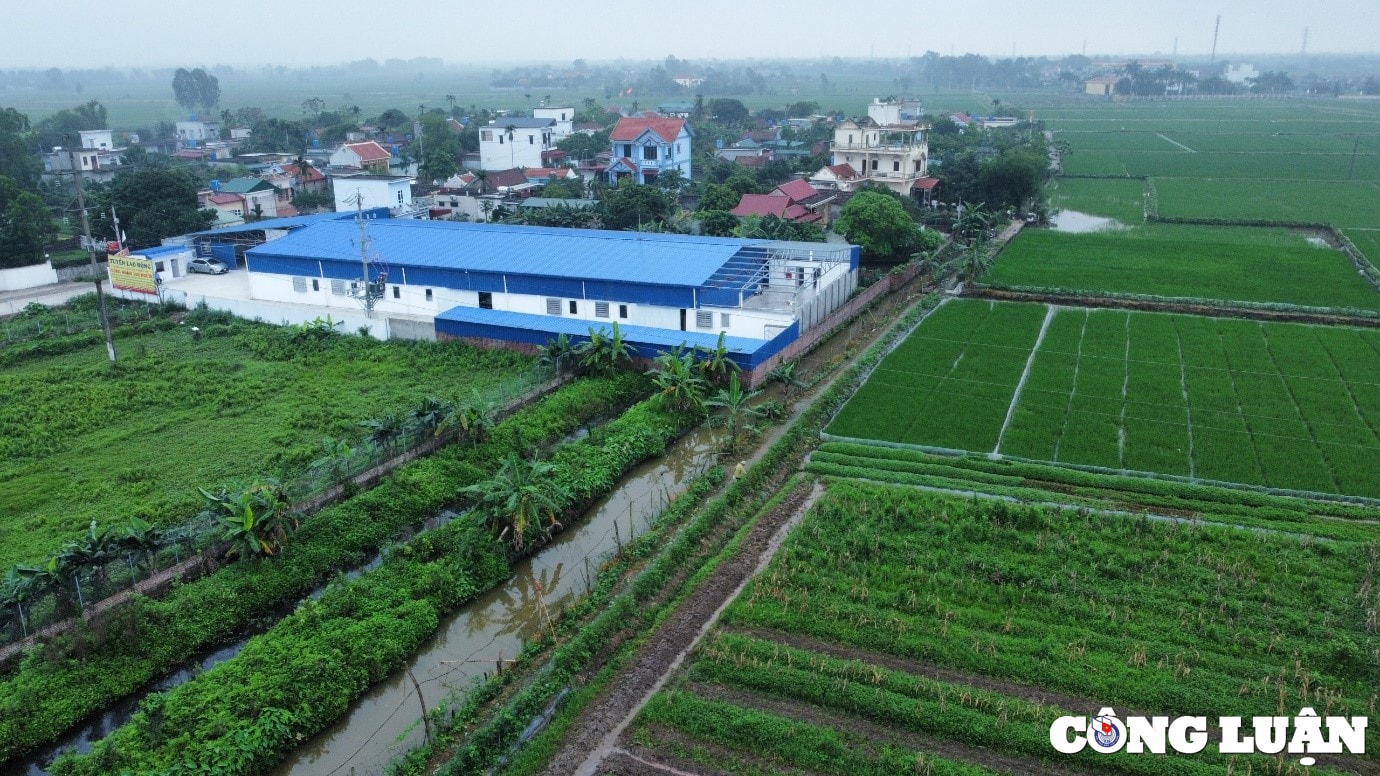 thai thuy thai binh phat hien doanh nghiep xay dung nha xuong hang nghin m2 tren dat nong nghiep hinh 1