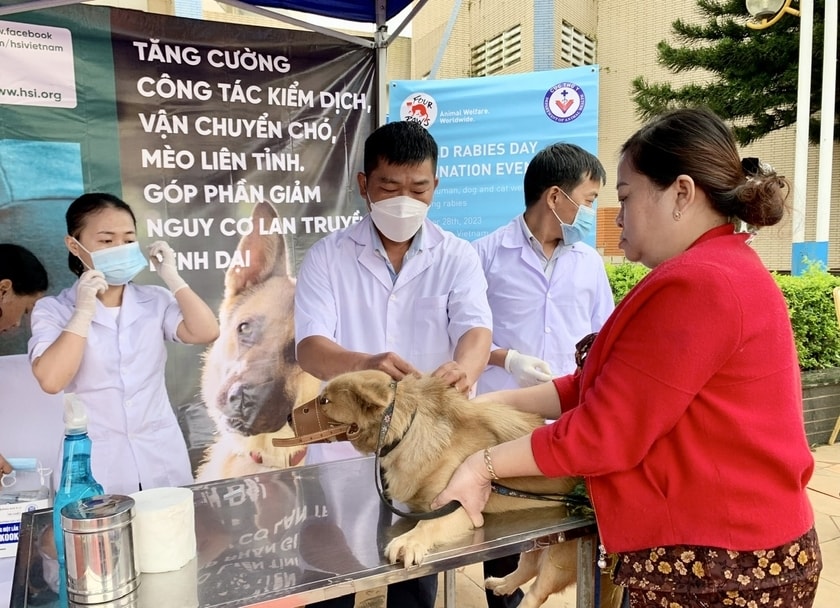 gia lai benh dai dien bien phuc tap nguoi dan tho o tha cho rong khap duong hinh 4