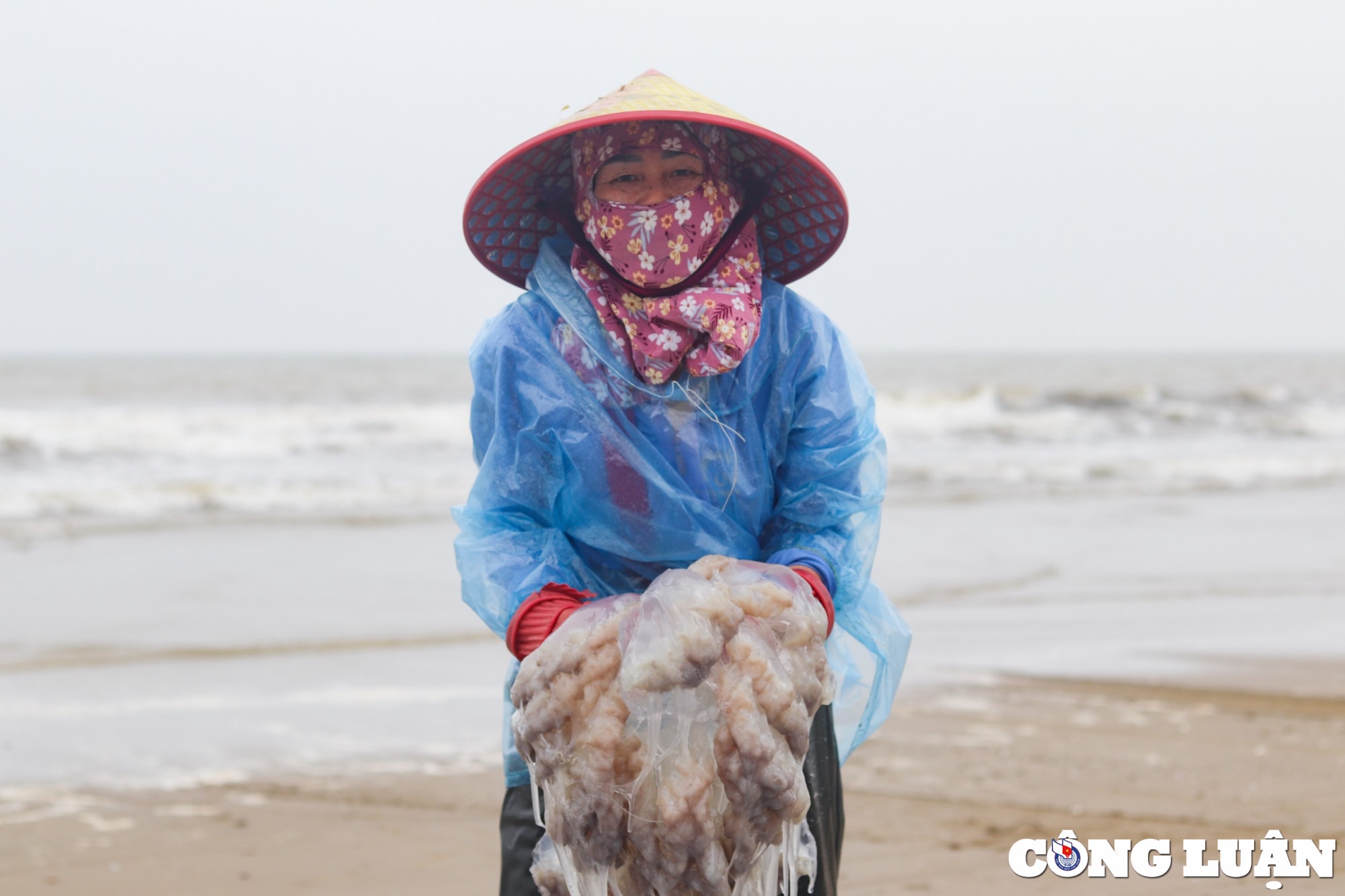 thanh hoa ngu dan phan khoi khi sua bien vao mua duoc gia hinh 5