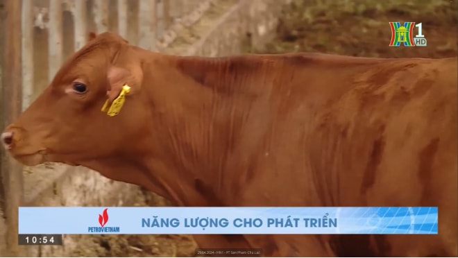 xuat nhap khau 4 thang dau nam 2024 tang truong an tuong hinh 2