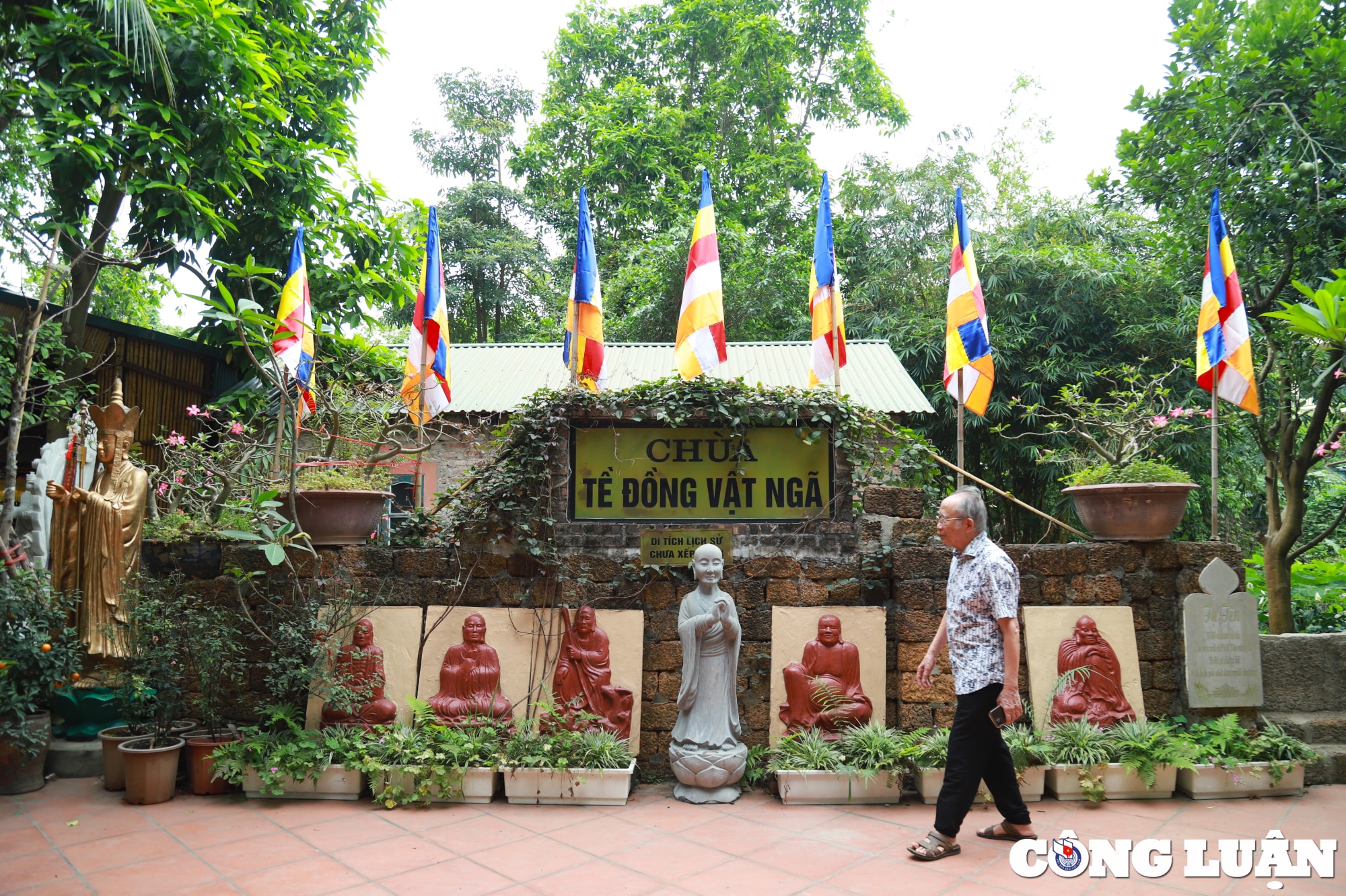 nghia trang danh cho thu cung doc nhat vo nhi tai ha noi hinh 1