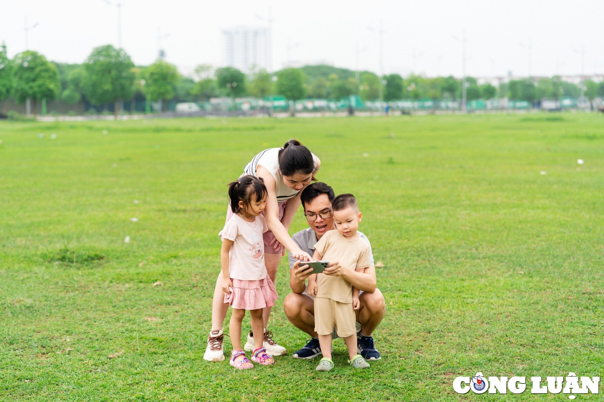 chiem nguong canh dong hoa luc binh tim tuyet dep ngoai thanh ha noi hinh 9