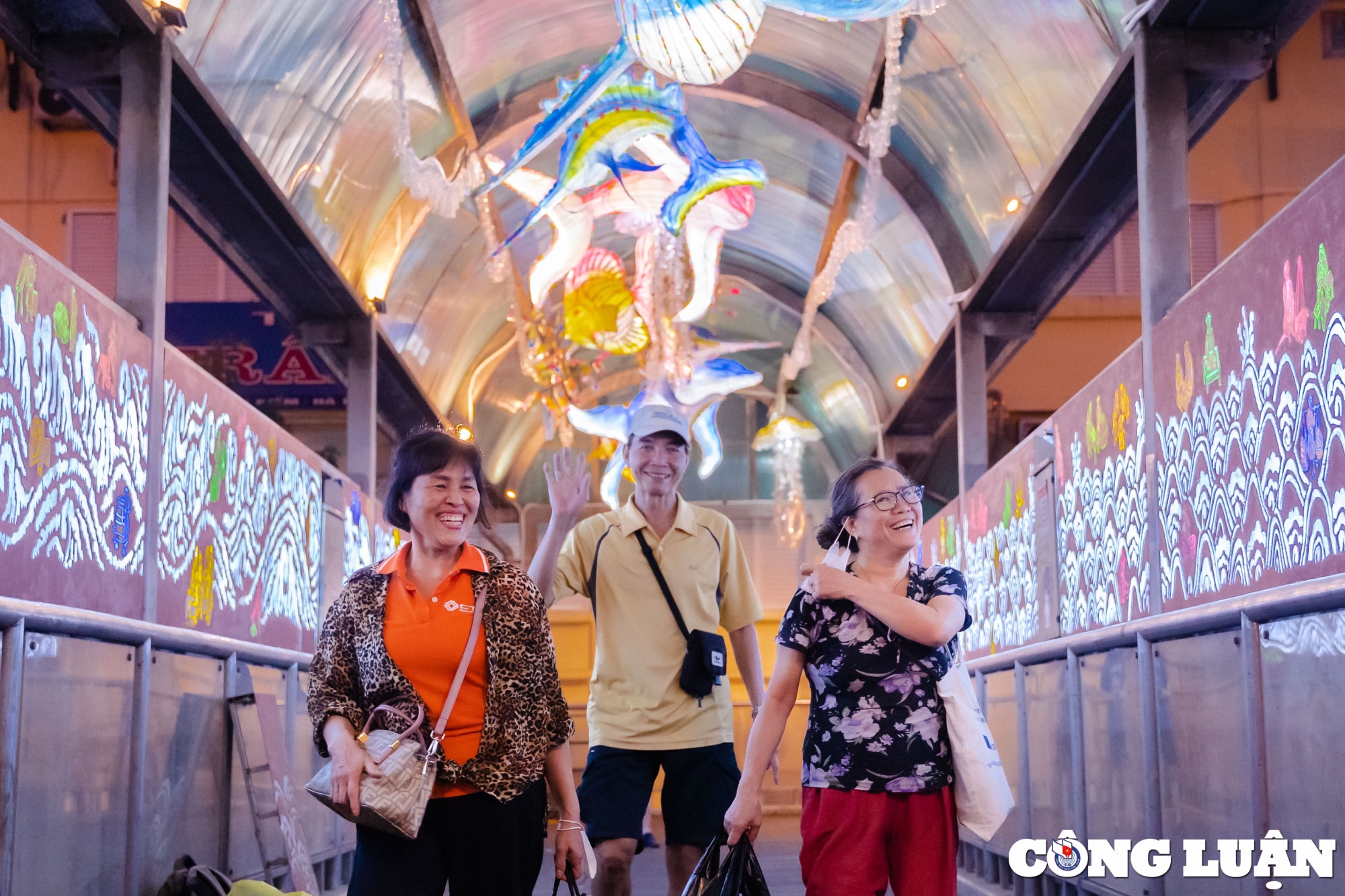 ngo ngang voi khong gian nghe thuat dac sac tren cau di bo o ha noi hinh 14