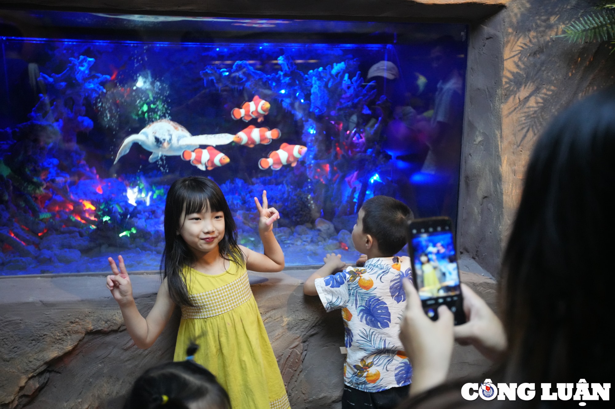 du khach thich thu kham pha thuy cung khong nuoc tai ha noi hinh 6