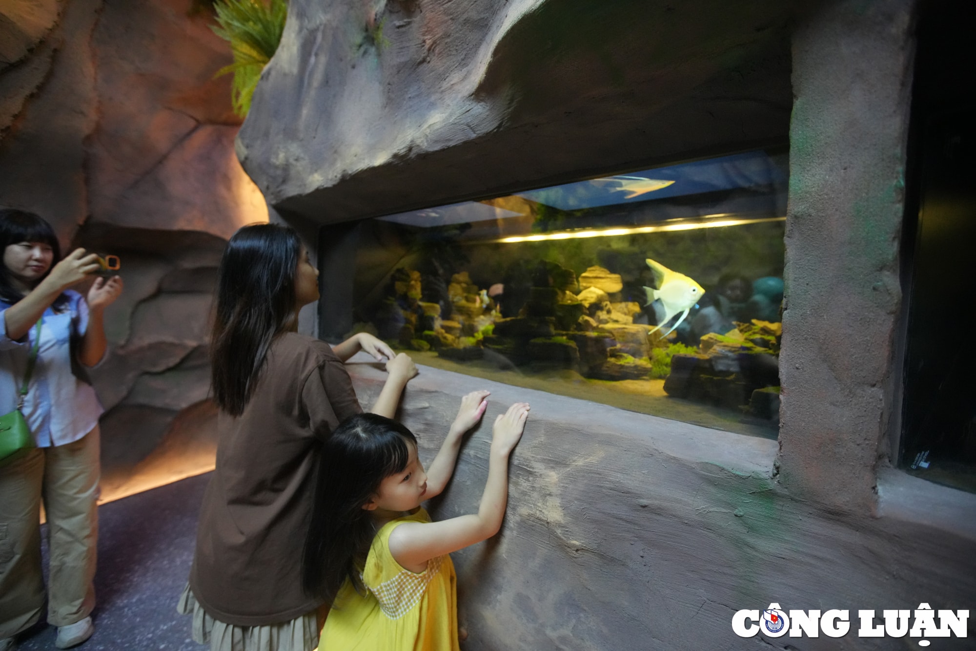 du khach thich thu kham pha thuy cung khong nuoc tai ha noi hinh 5