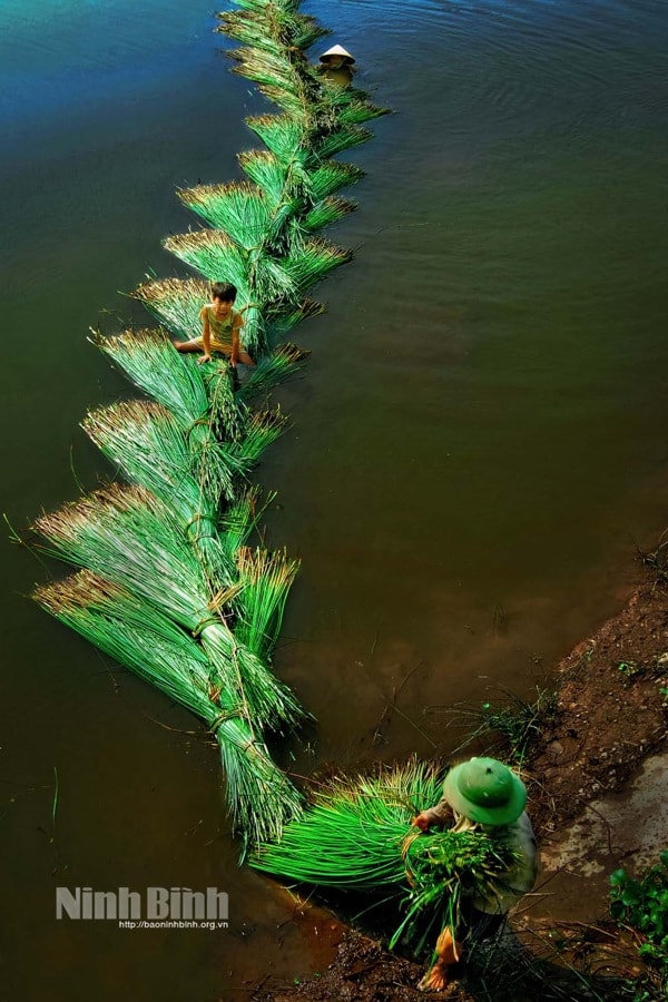 nghe coi kim son la di san van hoa phi vat the quoc gia hinh 2