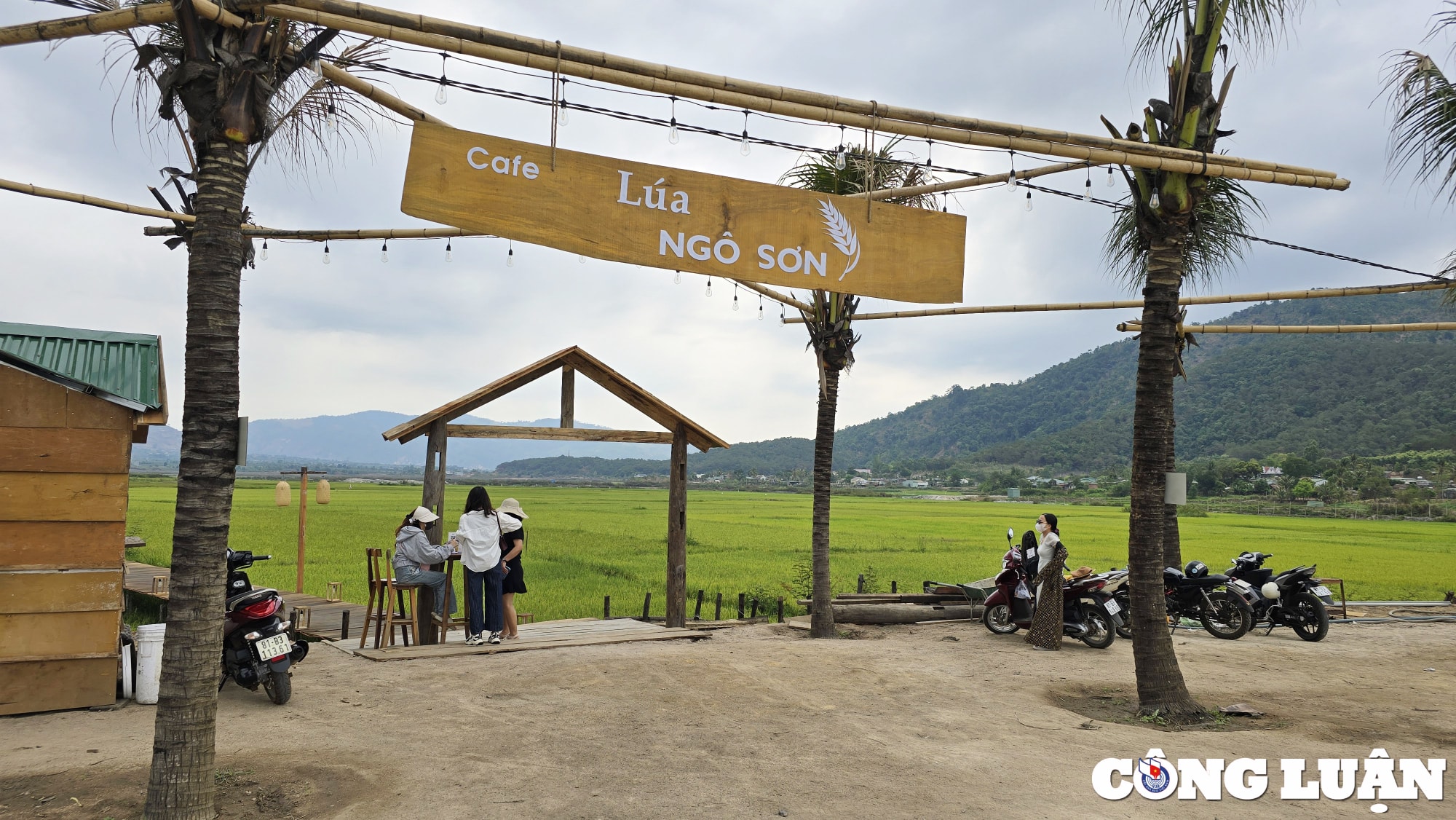 gia lai quan ca phe moc giua ruong lua chinh quyen noi chua sai hinh 5