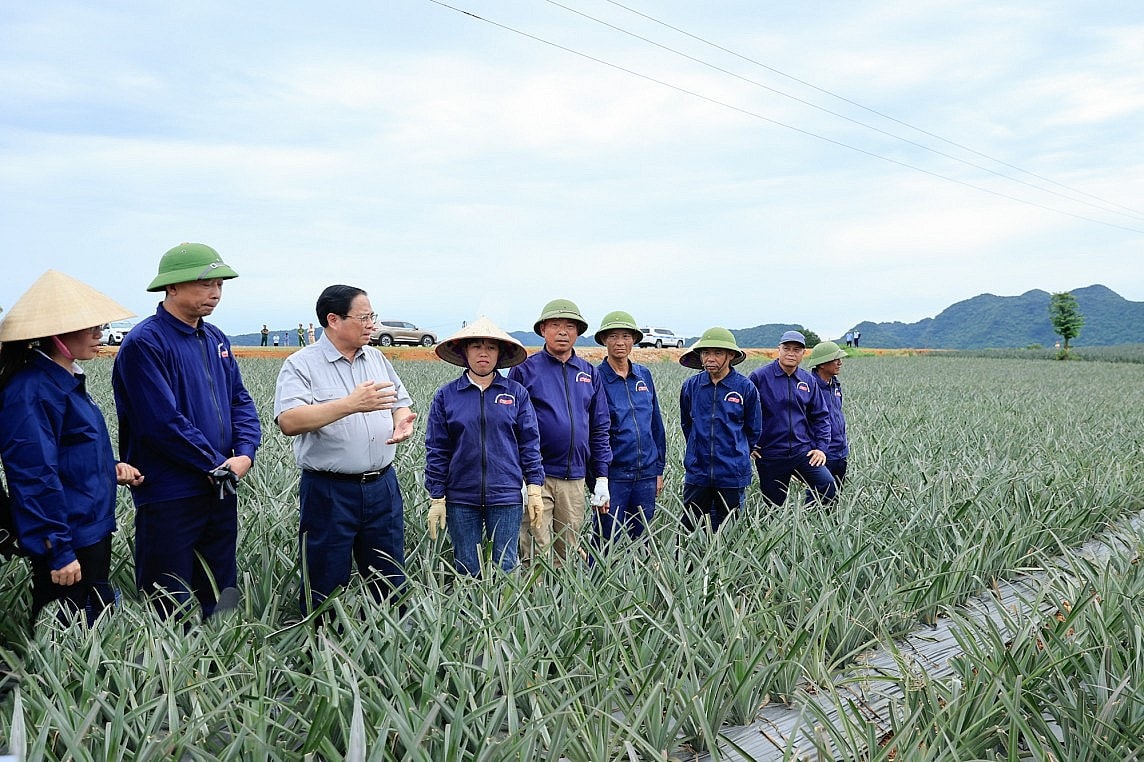 nghien cuu ket noi dong bo tuyen duong dong tay cua ninh binh voi cac truc giao thong quan trong hinh 3