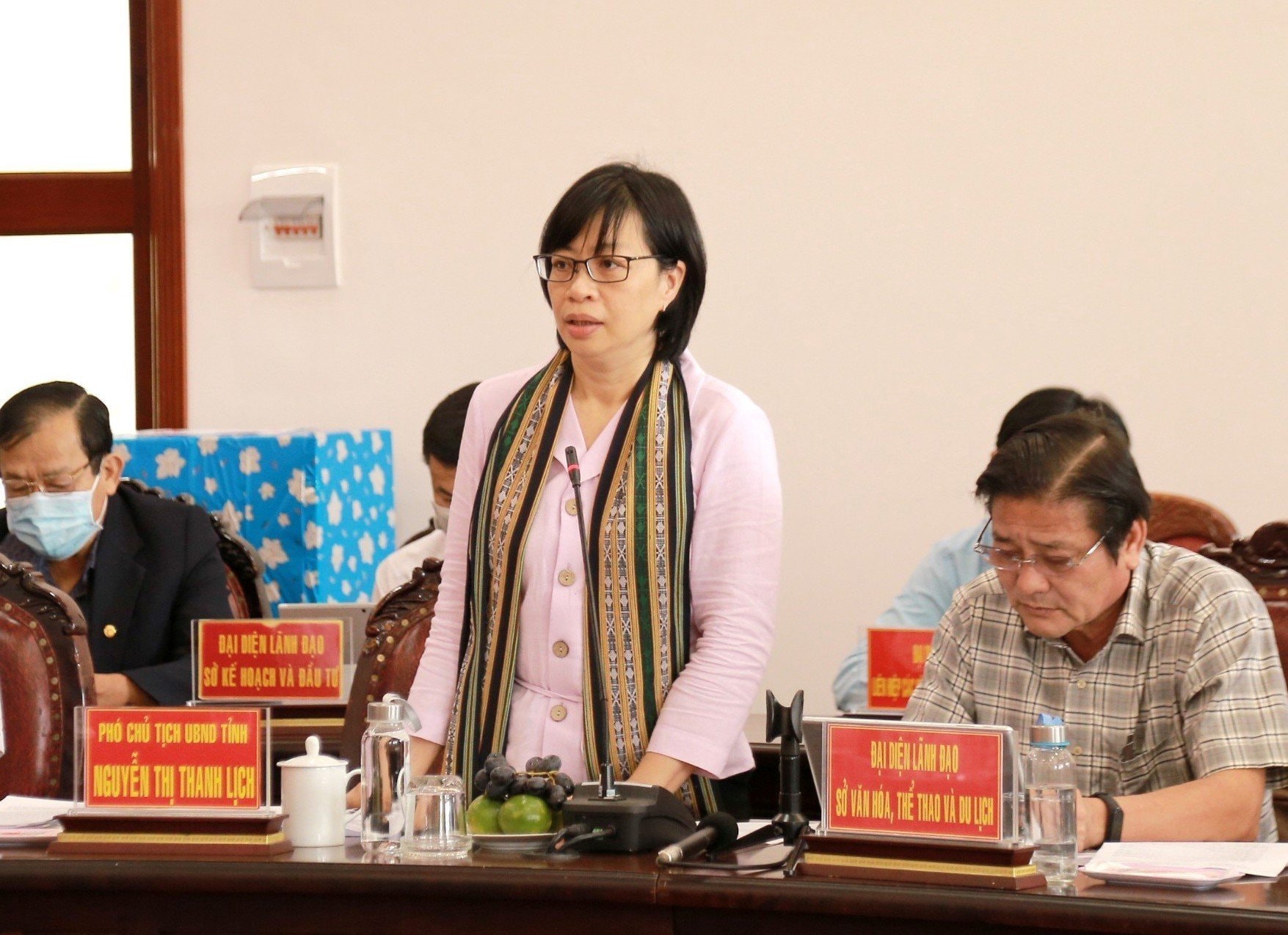 ba nguyen thi thanh lich phu trach dieu hanh toan bo cong viec cua ubnd tinh gia lai hinh 1