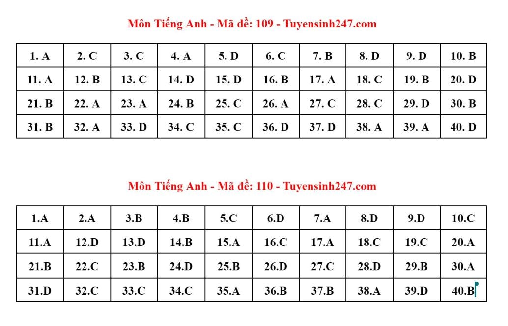 de thi mon tieng anh co tinh phan hoa cao kho de dat diem 10 hinh 3