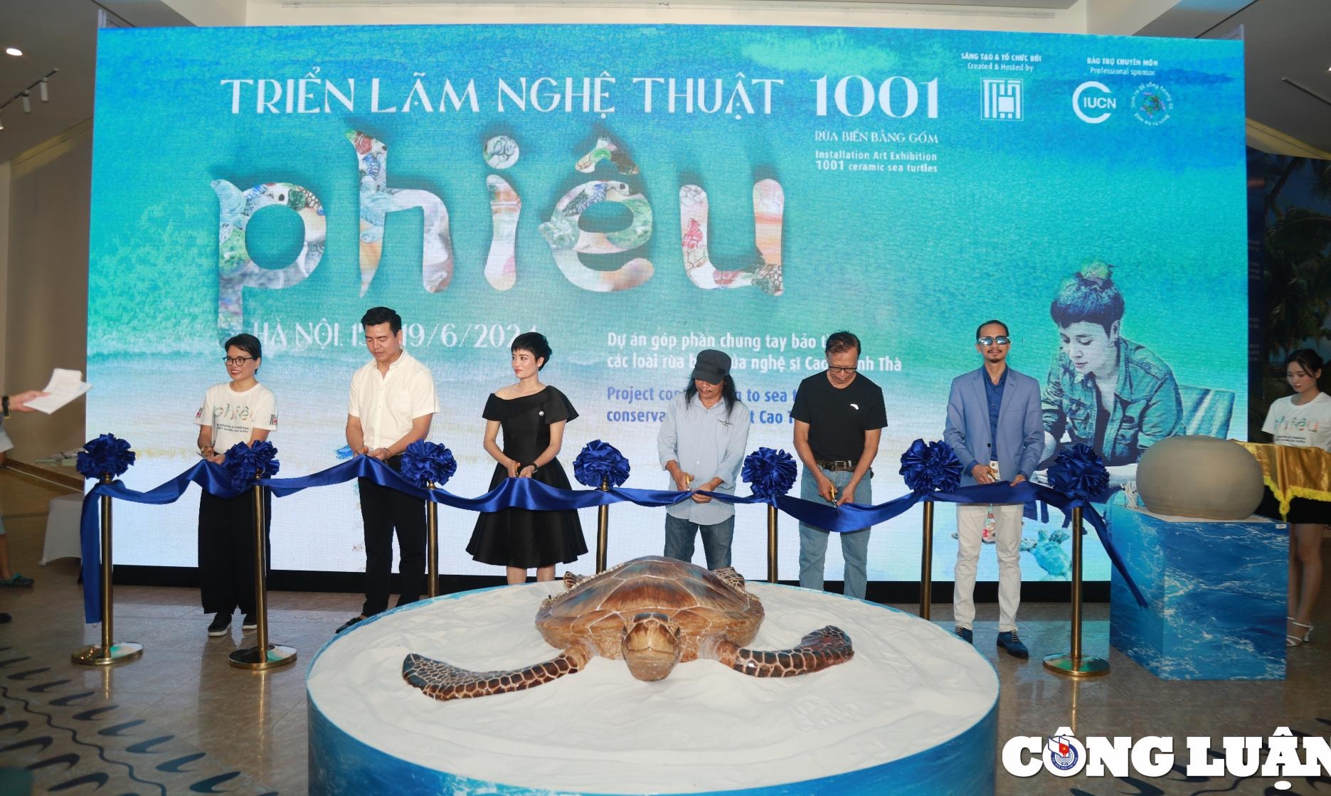 chiem nguong 1001 chu rua bien bang gom co mot khong hai tai ha noi hinh 2