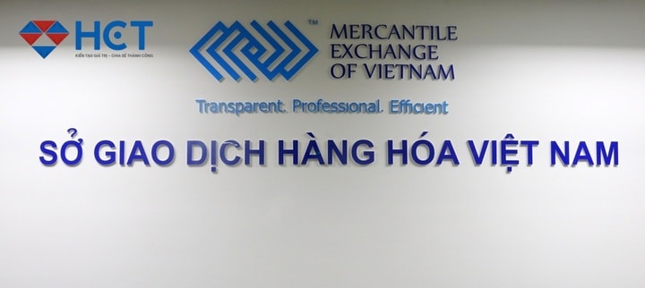 hoat dong mua ban qua so giao dich hang hoa cam tao ra cung cau gia tao hinh 1