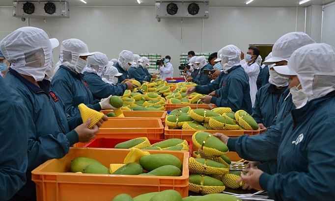 viet nam tiep tuc xuat sieu uoc dat 84 ty usd trong 6 thang dau nam hinh 1