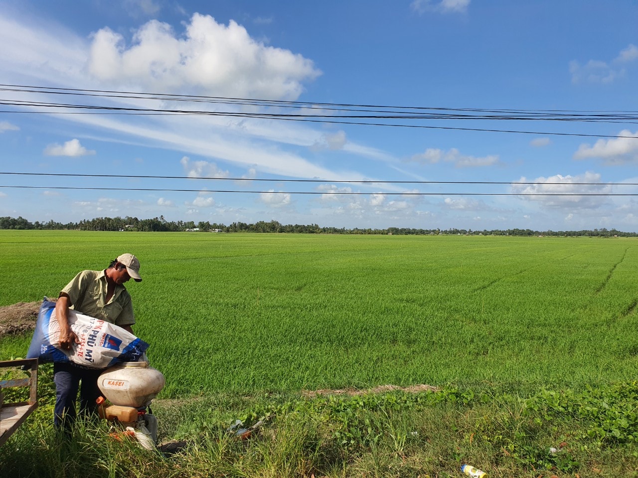 da den luc khong the khong sua doi luat 71 hinh 2