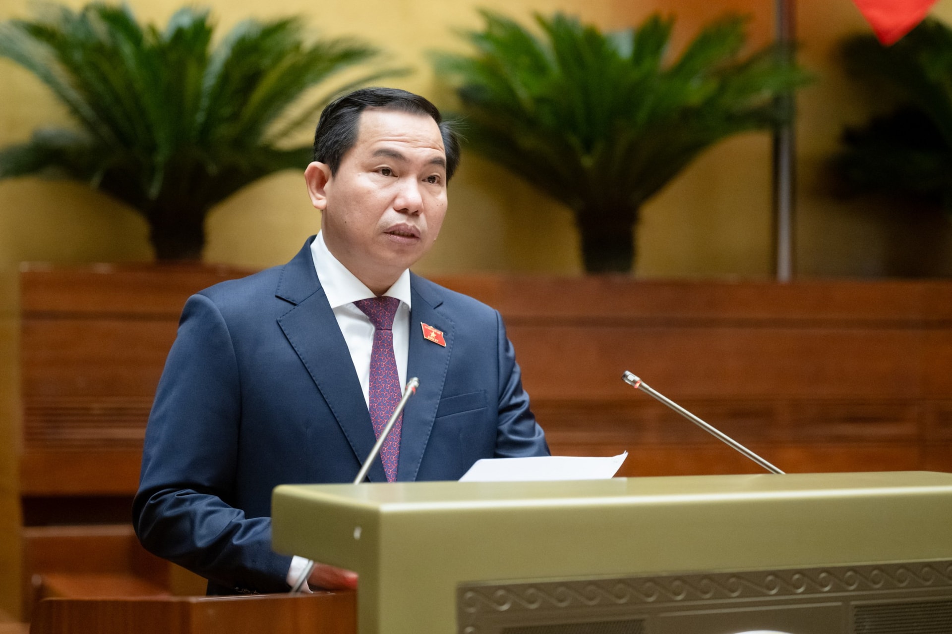 quoc hoi cho phep da nang thi diem thanh lap khu thuong mai tu do hinh 1