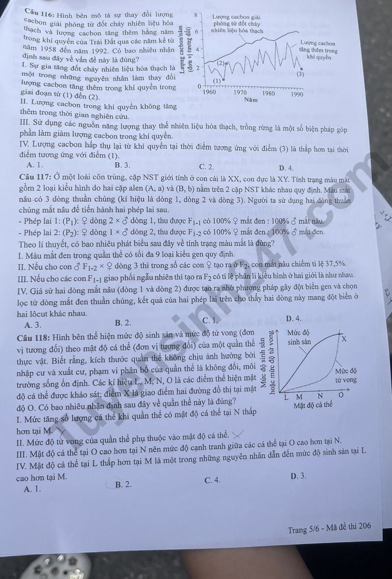 de thi mon sinh hoc tot nghiep thpt nam 2024 ma de 206 hinh 5