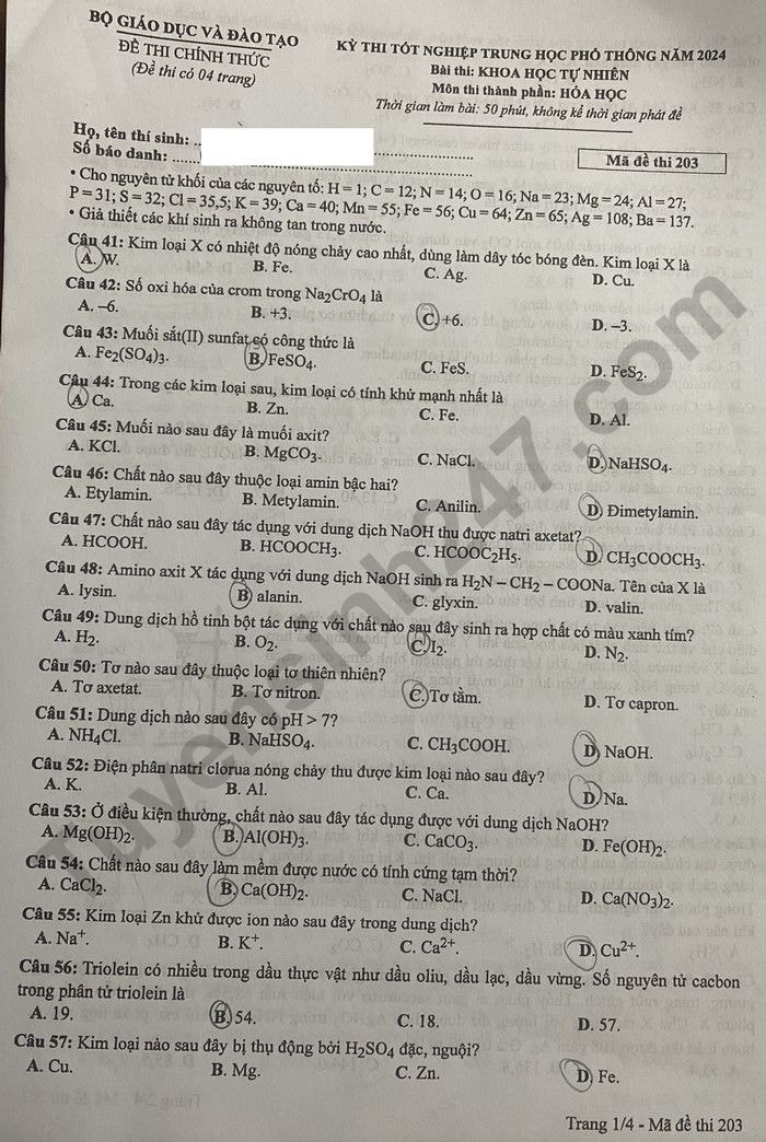 de thi tot nghiep thpt 2024 mon hoa hoc ma de 203 hinh 1