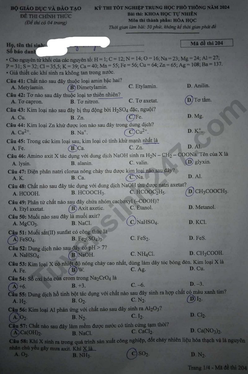 de thi tot nghiep thpt 2024 mon hoa hoc ma de 204 hinh 1